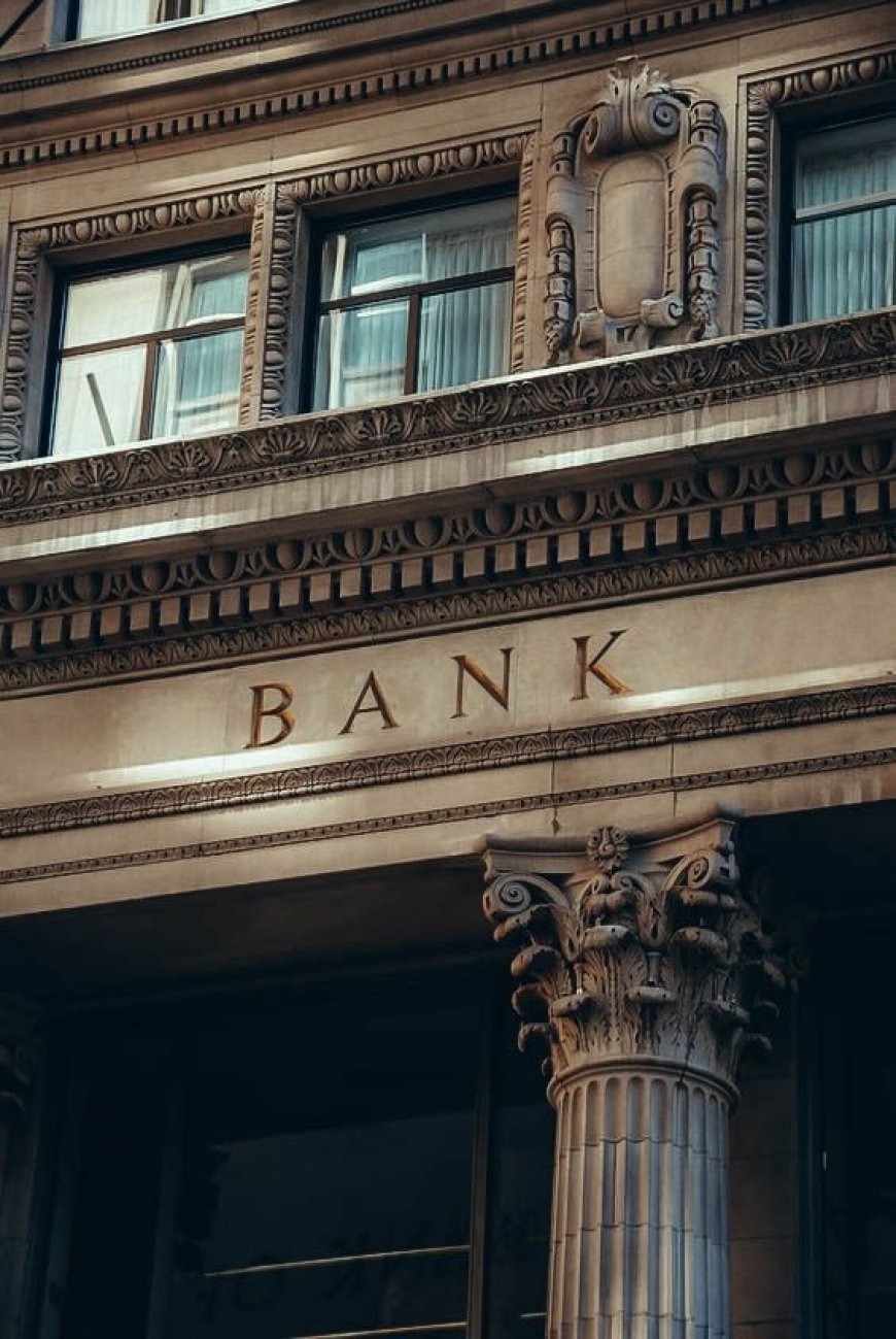 What If Musk and Trump Launched a Secret Bank? Inside the PallockAllied Bank